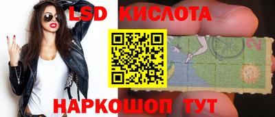 индика Камень-на-Оби