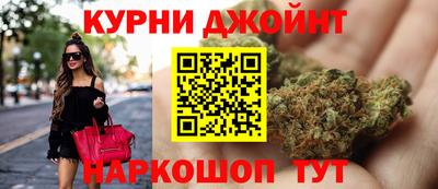 индика Камень-на-Оби