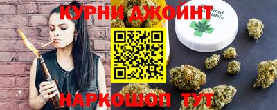 индика Камень-на-Оби