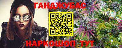 индика Камень-на-Оби