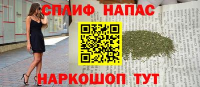 индика Камень-на-Оби