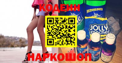 индика Камень-на-Оби