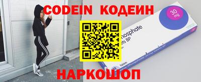 индика Камень-на-Оби