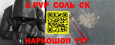 индика Камень-на-Оби