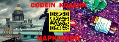 индика Камень-на-Оби