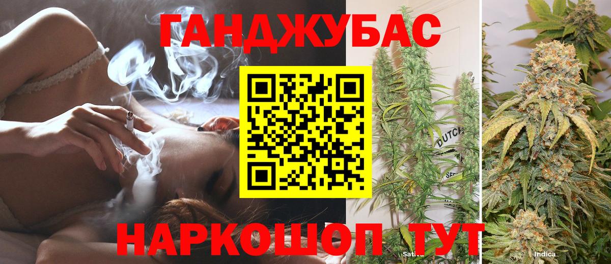 Канабис сатива Канск